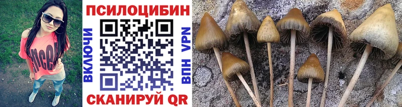 купить  цена  Мостовской  Псилоцибиновые грибы Magic Shrooms 